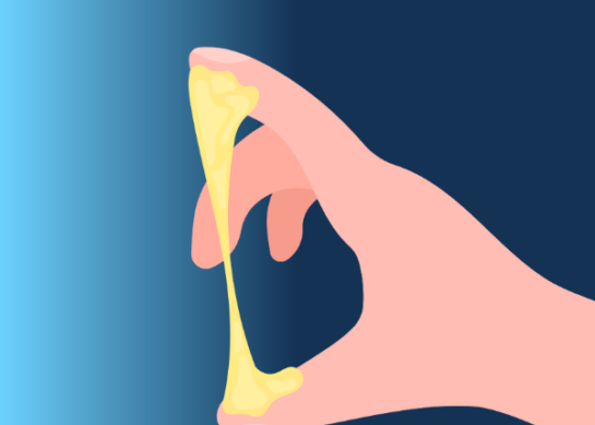 Flujo Vaginal