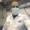 Private: Dr. Gregson Guevara
